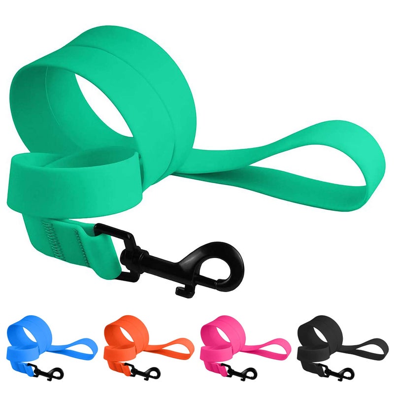 CollarDirect Waterproof Dog Leash Small Medium Large Durable Pet Leashes for Walking Training Running Pink Black Blue Orange Green (S, Mint Green) - Image 1